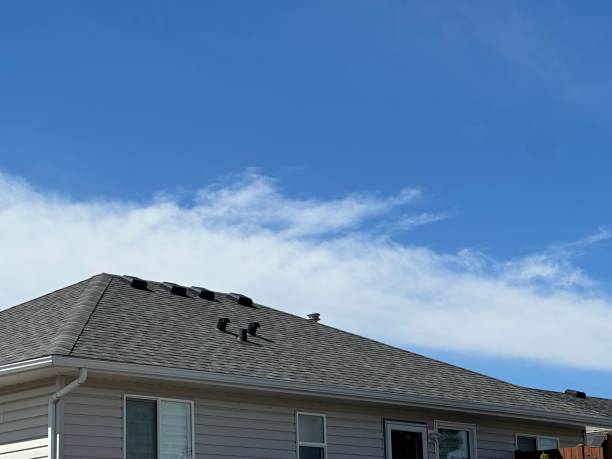 Fast & Reliable Emergency Roof Repairs in La Grange, NC